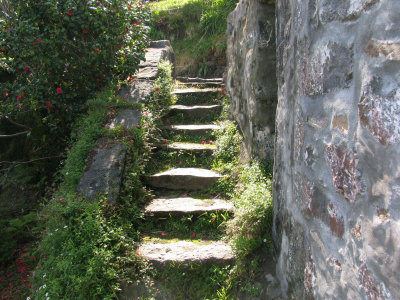Stone steps on Faial, Azores
