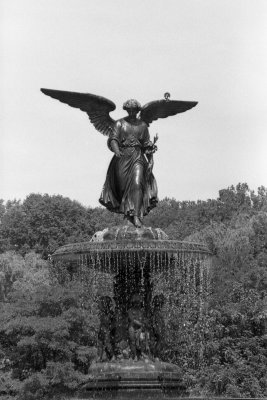 Angel of the Waters also known as Bethesda fountain