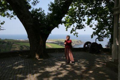 Cha plantation in Porto Formosa