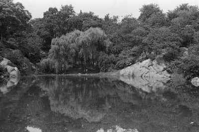 A pond in Central Park with two boys across the pond throwing stones into the water