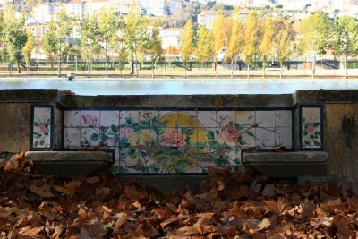 A seat in the Autumn leaves #2