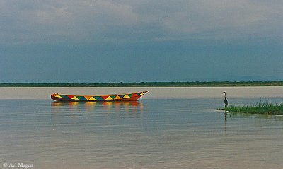 Lake Baringo (Kenya)