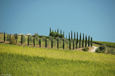 Tuscan landscape (Italy)
