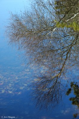 Completely reflected (Long Island, USA)