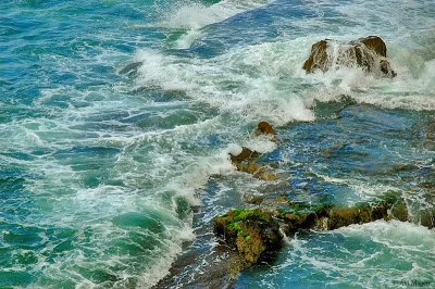 Reef (Akko, Israel)