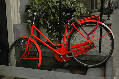 Red Bikes