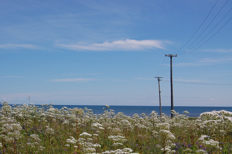 Cape Jourmain, New Brunswick.jpg
