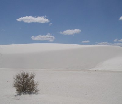 Beginning of the Sand Dune.jpg
