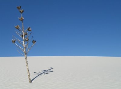 White Sands New Mexico