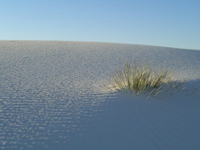 White Sands NM in Morning
