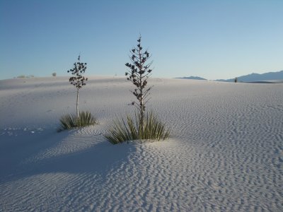 White Sands National Monument.jpg