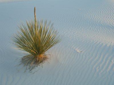 g6/07/98707/3/78477323.RuXMUoUd.jpg
