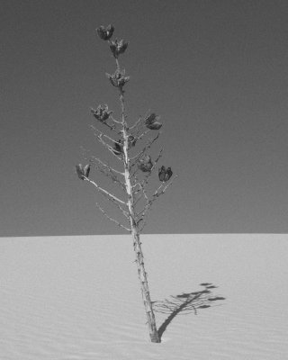 White Sands National Monument