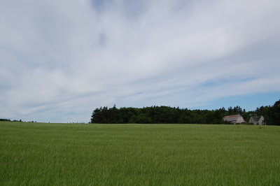 Little House in Background, PEI.jpg