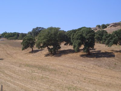 Countryside.JPG