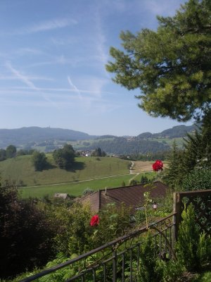 View from Urs' and Ridolphe's Yard.JPG