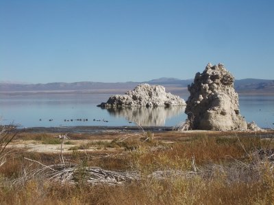 Mono Lake and Birds.JPG