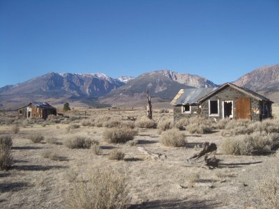 Lonely Houses.JPG