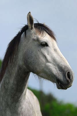 DSC_3600.JPG