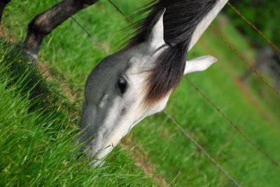 DSC_3605.JPG