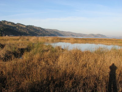 Martinez Waterfront Marsh IMG_0094.jpg