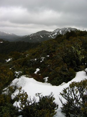 Snow in Kaimanawa