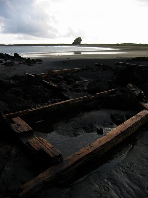 Wood remains at Whatipu