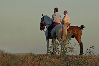 horsemen.jpg