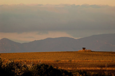 La Janda - evening.jpg