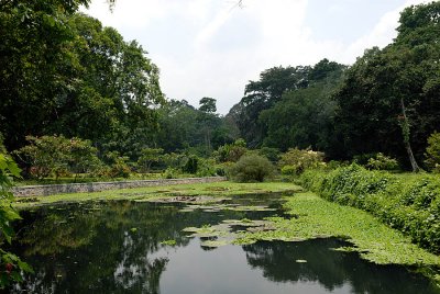 Bogor  Botanical Gardens