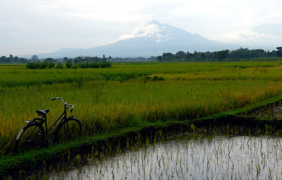 Guning (Mount) Merapi - an active volcano
