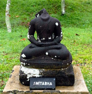 Amitabha