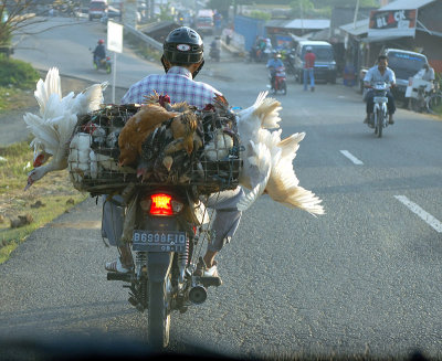 Indonesia from the Passenger Seat 2007