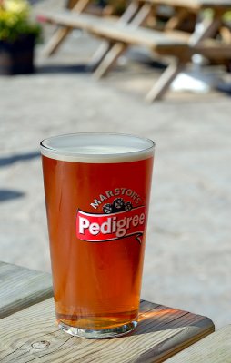Beer