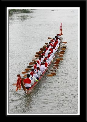 Long Boat Race 2006