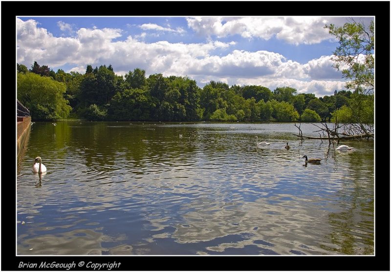 sutton park.jpg