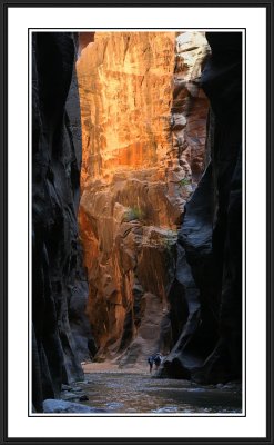 Reflected light in Zion Narrows