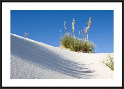 White Sands National Monument