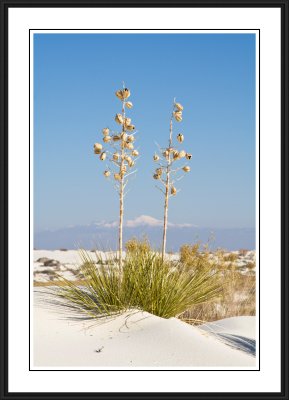 White Sands National Monument