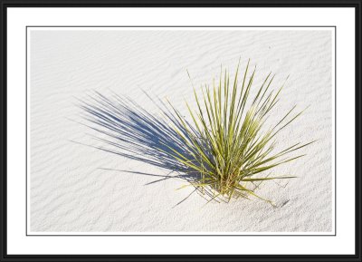 White Sands National Monument