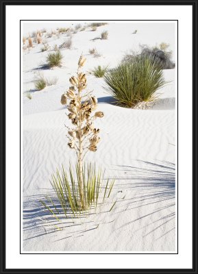 White Sands National Monument