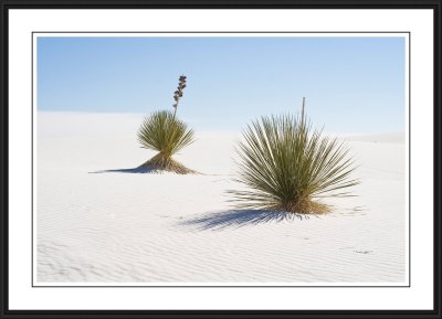 White Sands National Monument