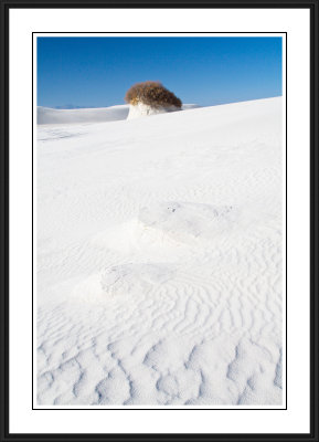 White Sands National Monument