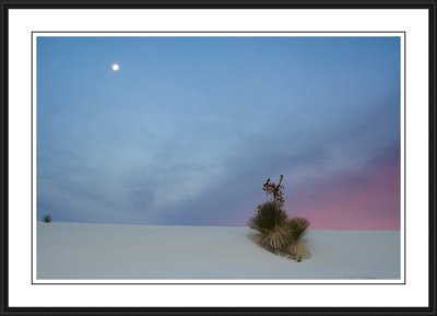 White Sands National Monument