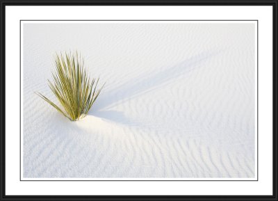 White Sands National Monument