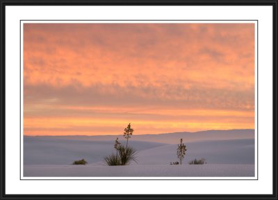 White Sands National Monument