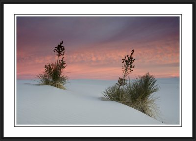 White Sands National Monument