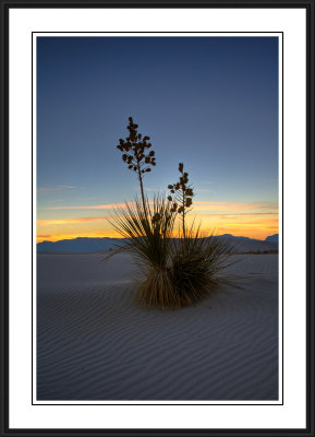 White Sands National Monument