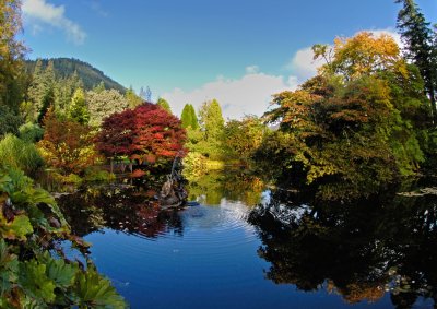 Garden pond with fountain