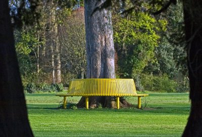 Yellow seat in the light